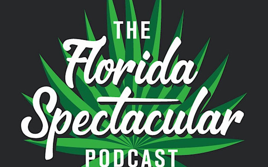 A podcast about my book